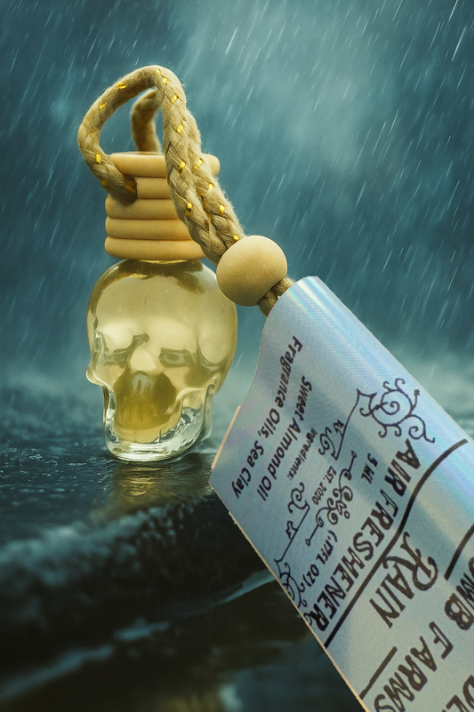Vehicle Air Freshener Rain